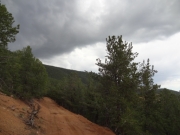 cut_of_trail