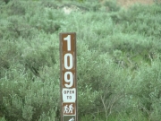 forest_service_sign