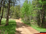 mellow_trail