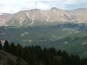 timberline