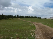 trail_up_mount_zion