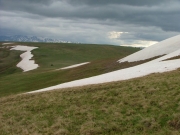 white_on_green
