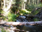 nellie_creek