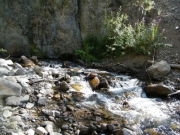river_rocks