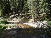 trail_in_the_creek