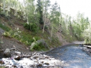 wet_trail