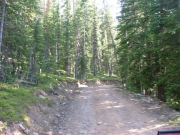 bumpy_climb