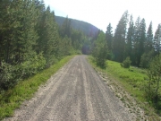 early_trail