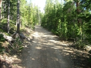 near_the_top