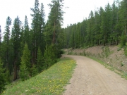 mellow_trail