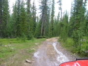 muddy