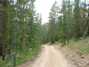 starting_downhill