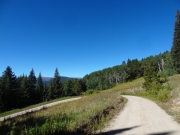 downhill_switchback