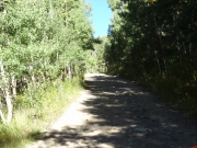 little_rocks