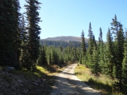 mountain_view