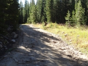 rocky_at_a_cattle_guard