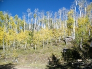 aspen_layers
