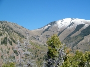 basin