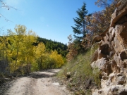 dirt_trail
