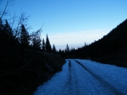 downhill_in_snow
