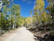 green_and_yellow