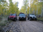 group_shot