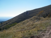 jackson_ridge