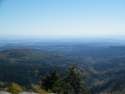 see_for_miles