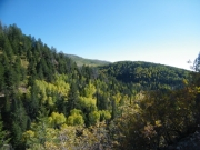 shades_of_green