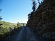 shady_corner