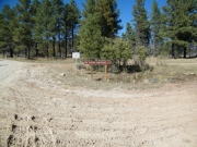 signs_at_the_south_end