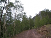 climbing