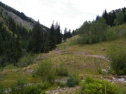 little-used_trail