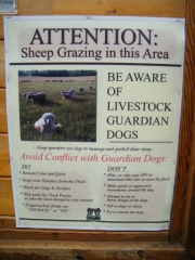 sheep_sign
