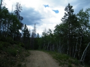 aspens_part_1