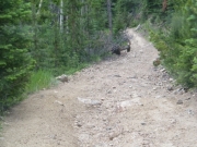rocky_road