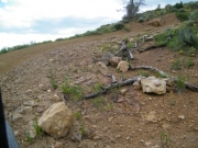 switchback