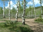 trail