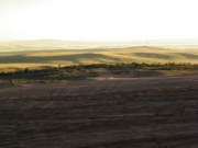 sand_and_green