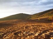 tracks