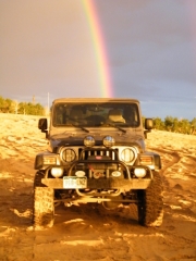 walt_and_rainbows