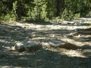 climb_over_rocks