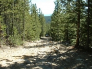 jim_on_the_trail_part_1