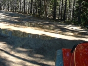 little_puddle