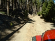 mellow_trail