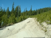rutted_road