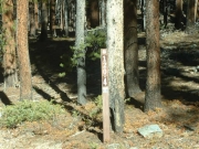 sign_number_2