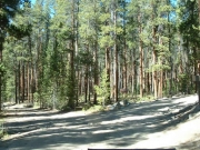 south_supply_creek_at_north_supply_creek