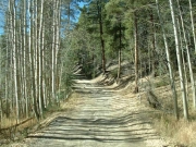 start_of_the_trail
