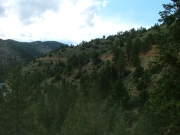 road_in_the_distance